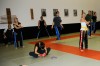 Thumbs/tn__DS31857.jpg
