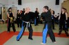 Thumbs/tn__DS31962.jpg