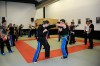 Thumbs/tn__DS31981.jpg