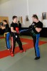 Thumbs/tn__DS15608.jpg