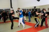 Thumbs/tn__DS15641.jpg