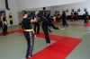 Thumbs/tn_EB2_1340.jpg